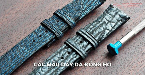 day da dong ho 10 day da dong ho 10