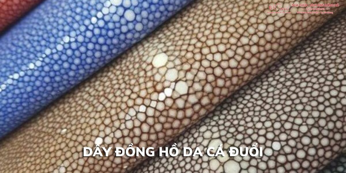 day dong ho da ca duoi 6 day dong ho da ca duoi 6