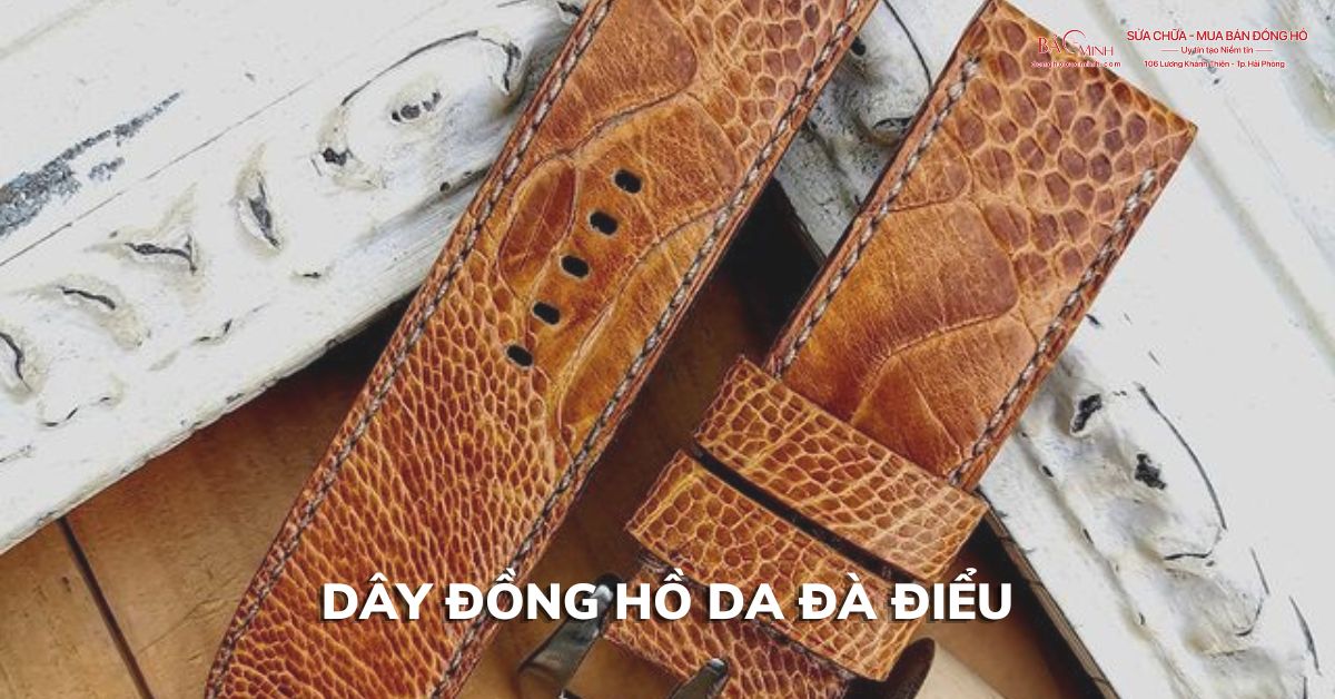 day dong ho da da dieu 8