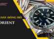 thay day dong ho orient 6