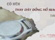 thay day dong ho skagen 8
